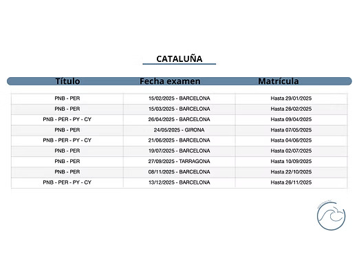 81d017_f246ffc017f0470cb9a711875e919b21~mv2